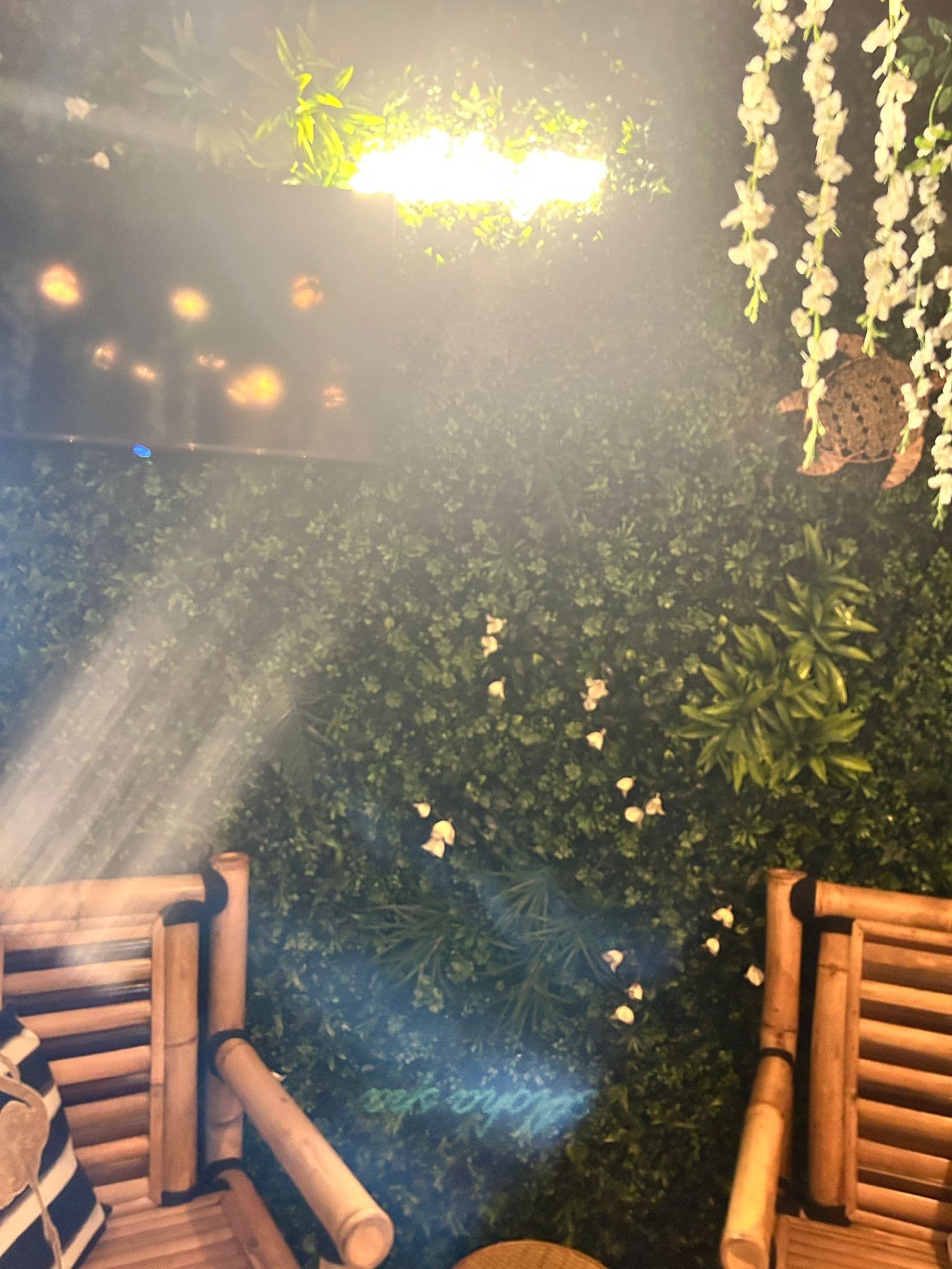 Suite Aloha — photo 12